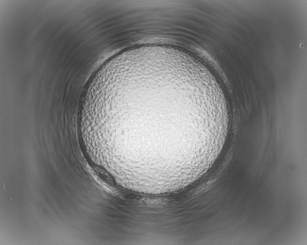 X0000077991041200611251406