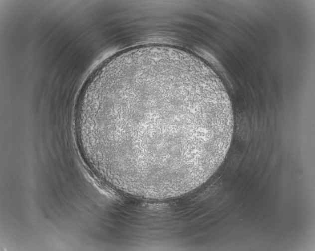 X0000077991043200611251406