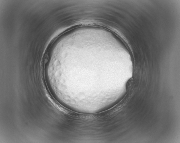 X0000077991045200611251406