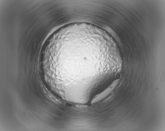 X0000077991052200611251406