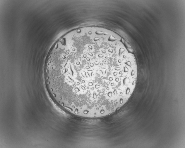 X0000077991055200611251406