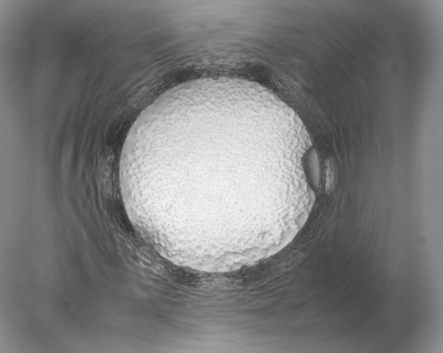 X0000077991059200611251405