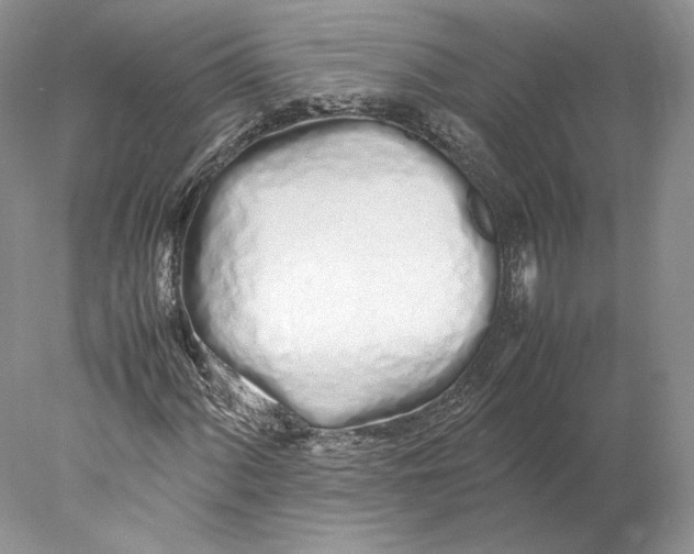 X0000077991060200611251405