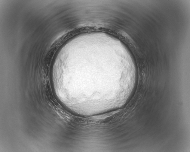 X0000077991064200611251405