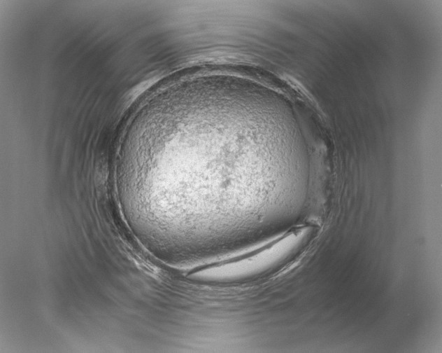 X0000077991065200611251405