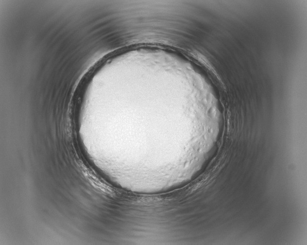 X0000077991068200611251405