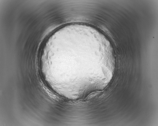 X0000077991072200611251405