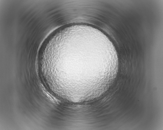 X0000077991076200611251405