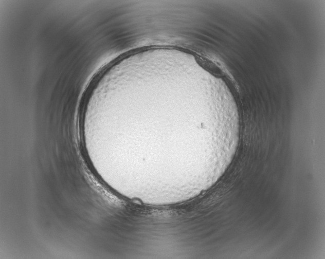 X0000077991080200611251405
