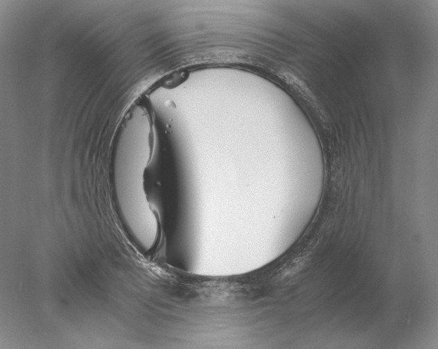 X0000077991081200611251405