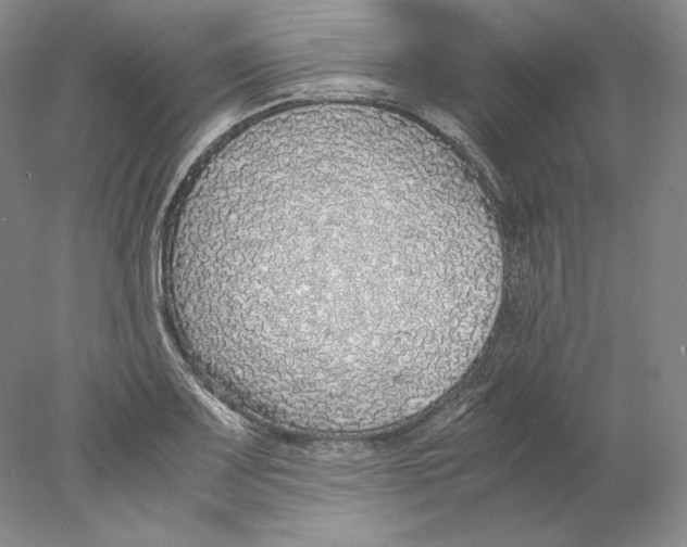 X0000077991083200611251405