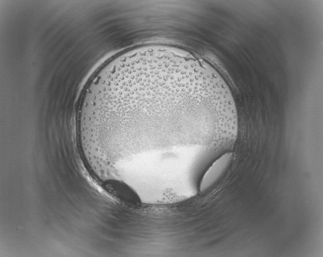 X0000077991092200611251405