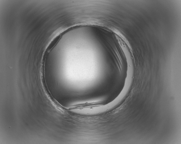 X0000077991093200611251405