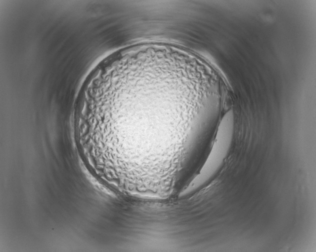 X0000077991100200611251405