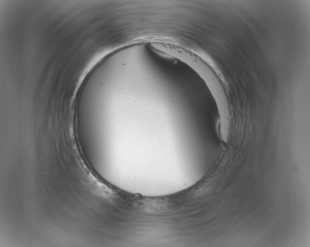 X0000077991102200611251405