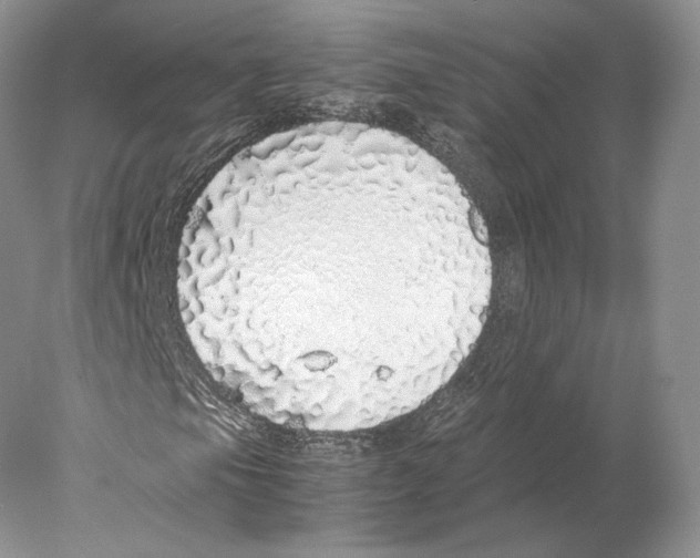 X0000077991105200611251404