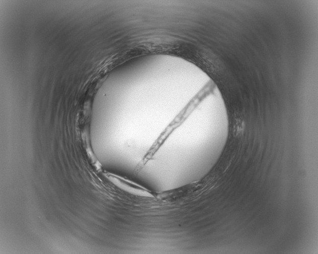 X0000077991108200611251404