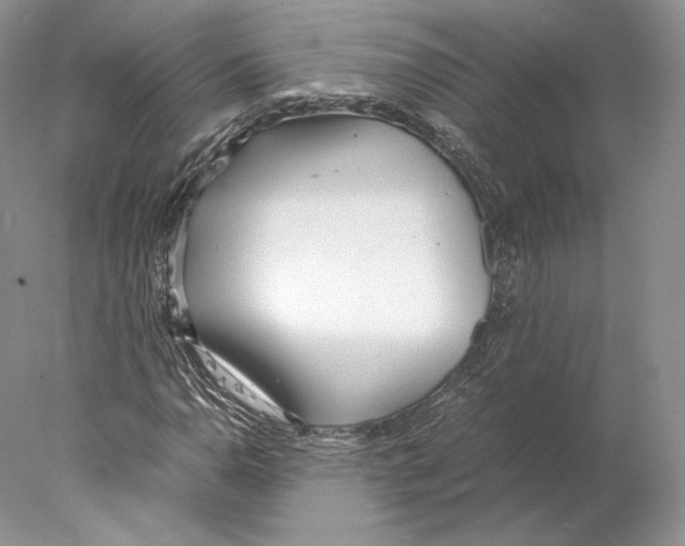 X0000077991110200611251404