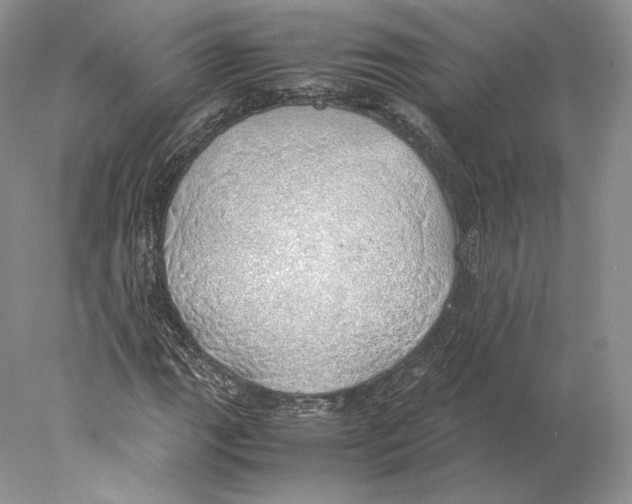 X0000077991111200611251404