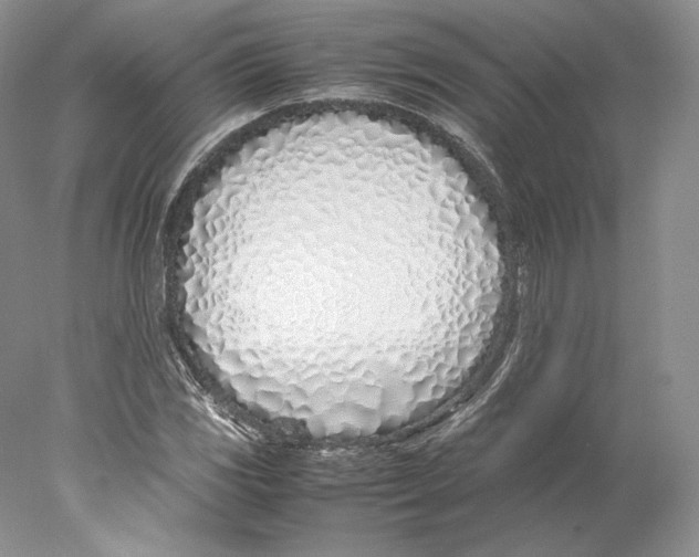 X0000077991117200611251404