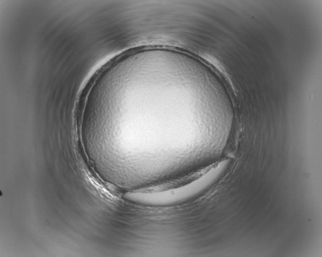 X0000077991120200611251404