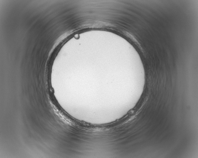 X0000077991122200611251404