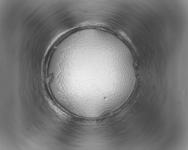 X0000077991124200611251404