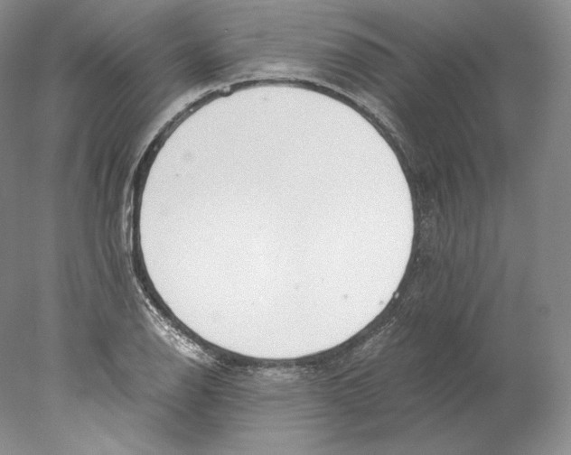 X0000077991126200611251404