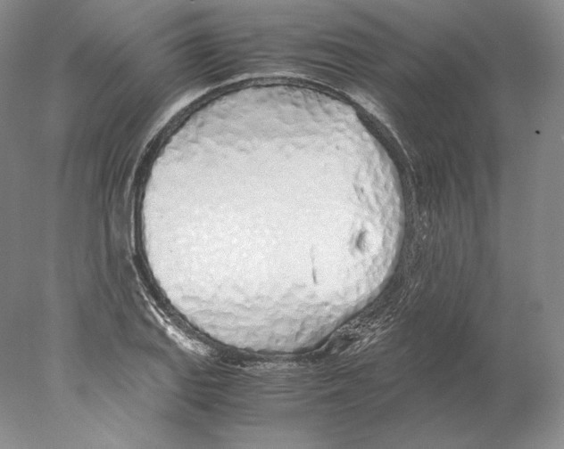 X0000077991127200611251404