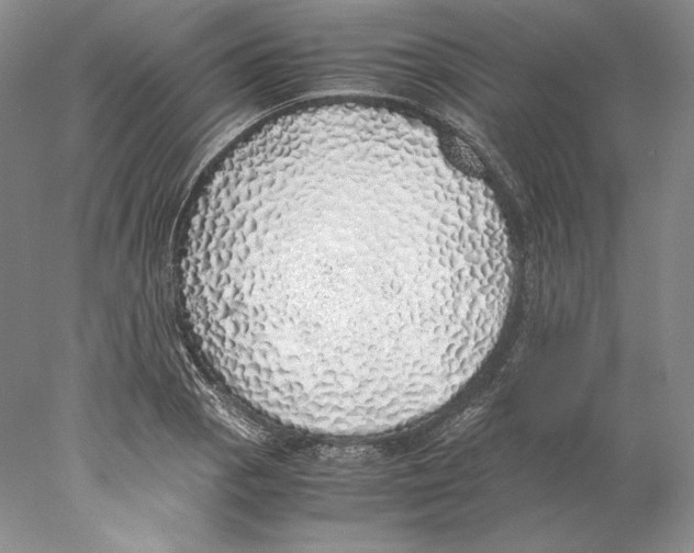 X0000077991129200611251404
