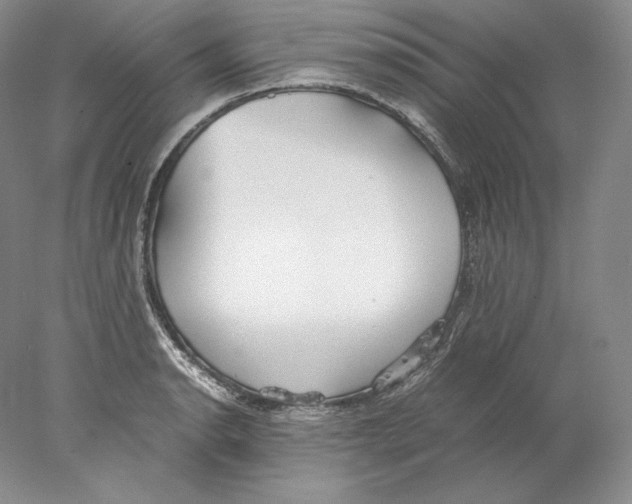 X0000077991134200611251404
