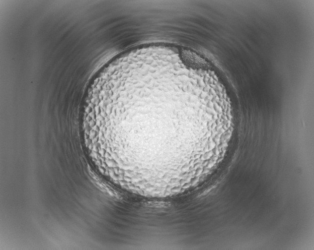 X0000077991137200611251404