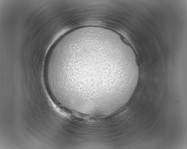 X0000077991139200611251404