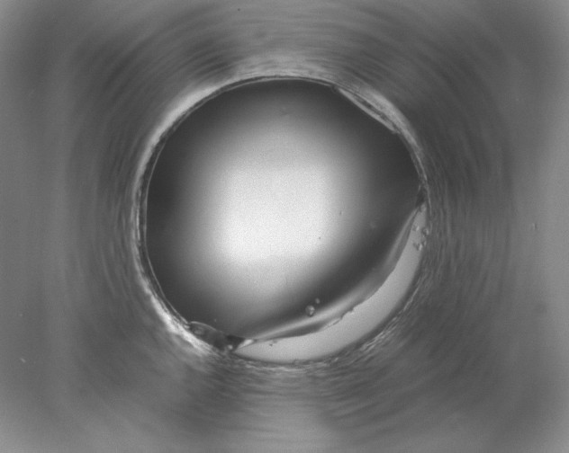 X0000077991144200611251404