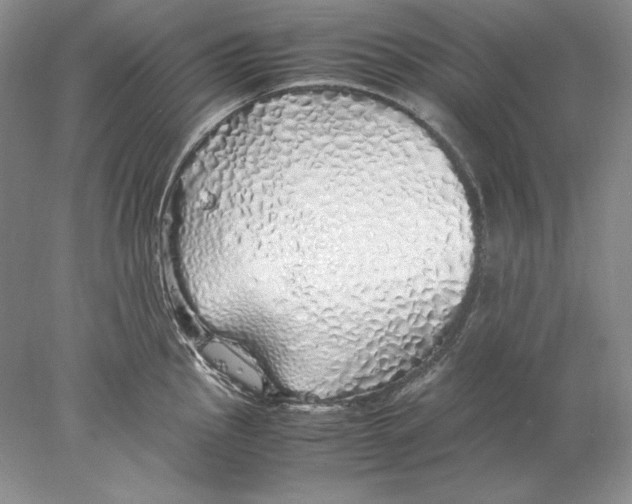 X0000077991145200611251404