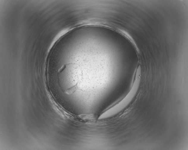 X0000077991146200611251405