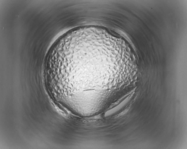 X0000077991149200611251405