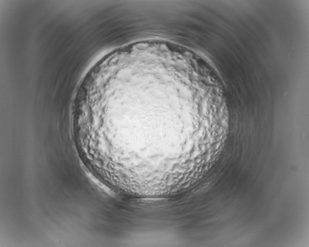 X0000077991151200611251405