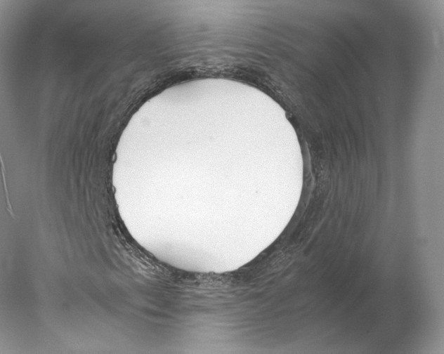 X0000077991153200611251404