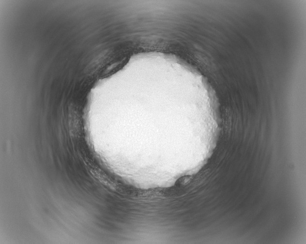 X0000077991154200611251404