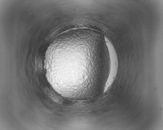 X0000077991155200611251404