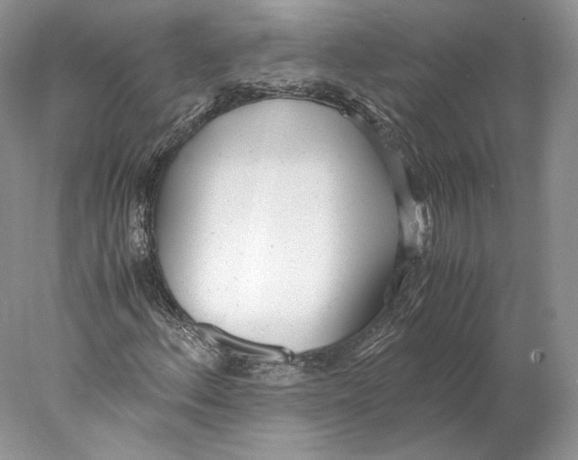 X0000077991156200611251404
