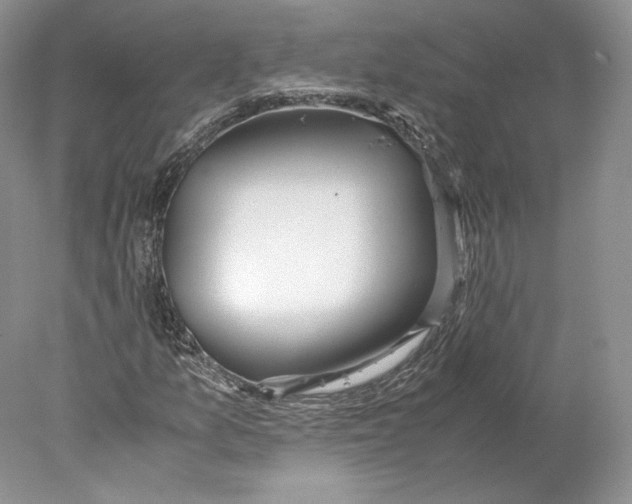 X0000077991157200611251404