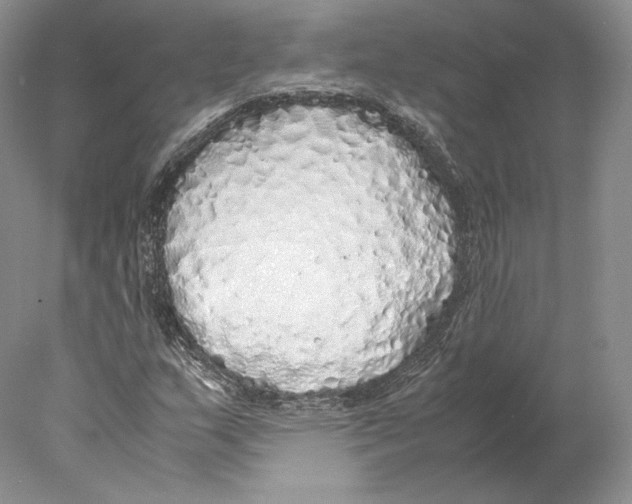 X0000077991159200611251404