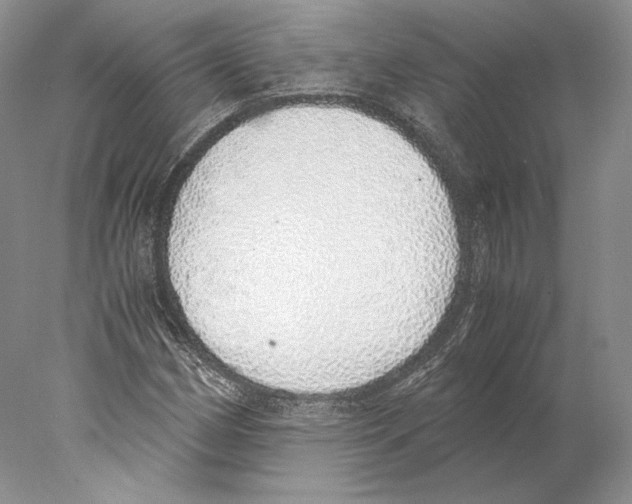 X0000077991162200611251404