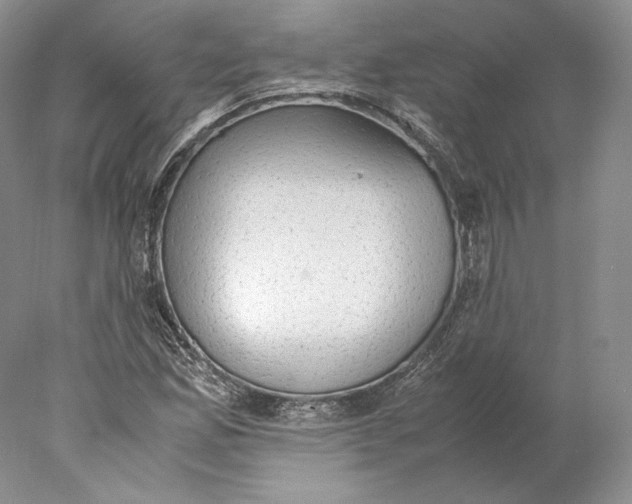 X0000077991165200611251404