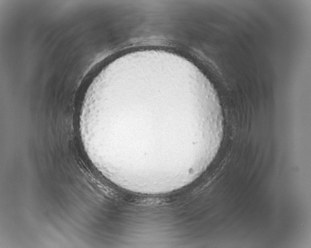 X0000077991166200611251404