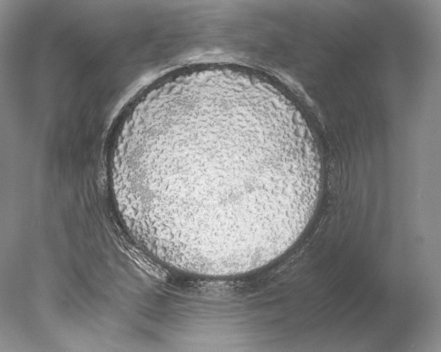 X0000077991167200611251404