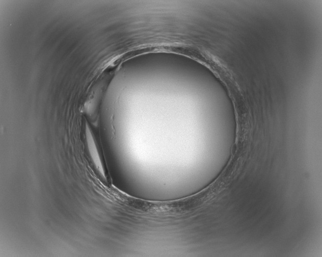 X0000077991169200611251404