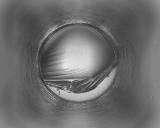X0000077991173200611251403